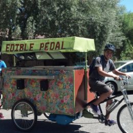Vehicle manufactured by Main Street Mobility