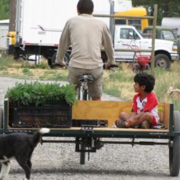 Main Street Mobility - pedal-powered vehicles. Custom orders welcome.