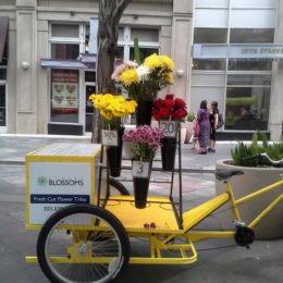 Sustainable flower deliveries and vending. Pedal power!