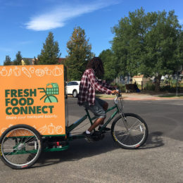 Vehicles made by Main Street Mobility