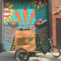 Main Street Mobility - pedal-powered vehicles. Custom orders welcome.