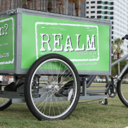 Vehicles made by Main Street Mobility