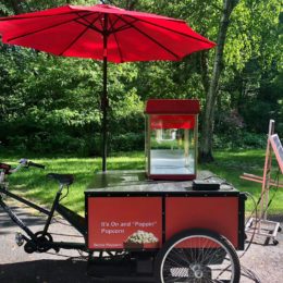 Vehicle manufactured by Main Street Mobility